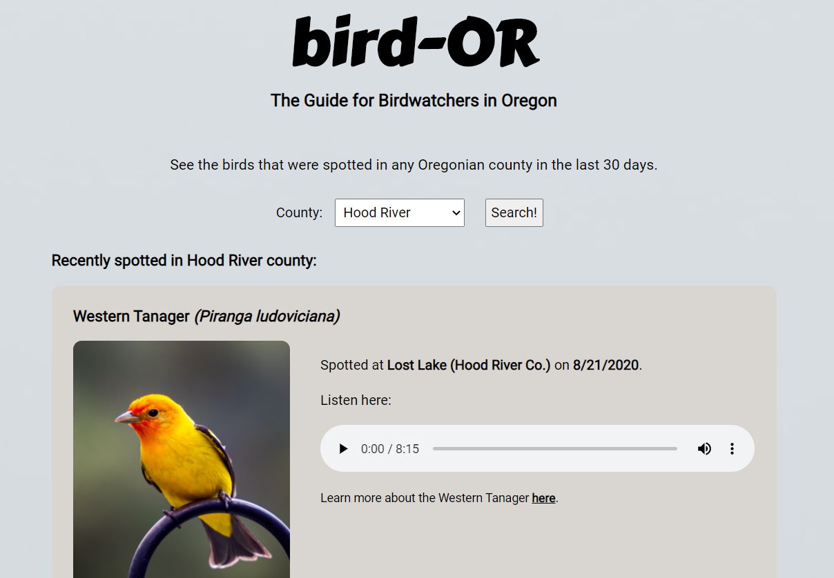 Screenshot of bird-OR search page